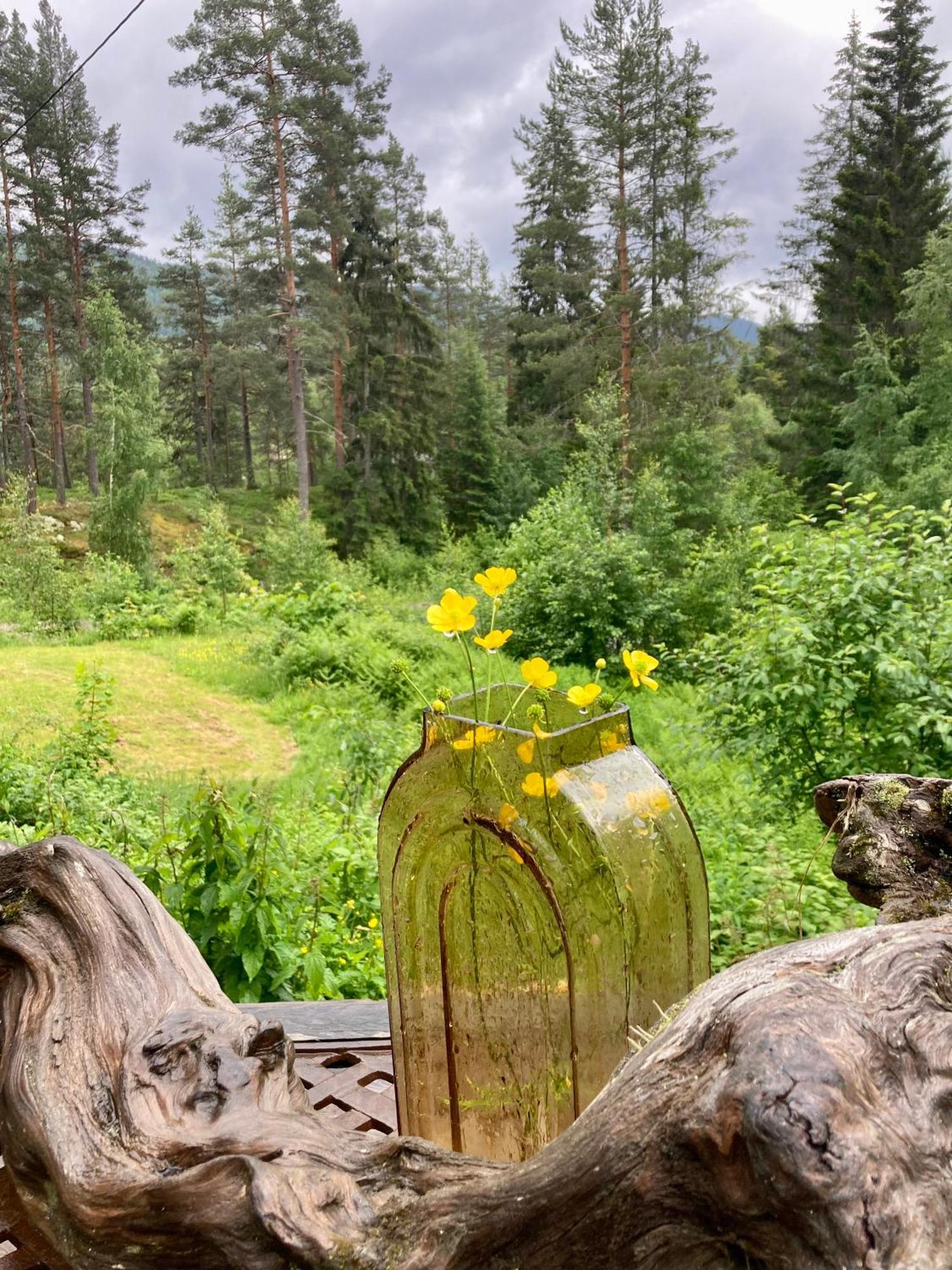 Friheten! Нутодден Екстер'єр фото